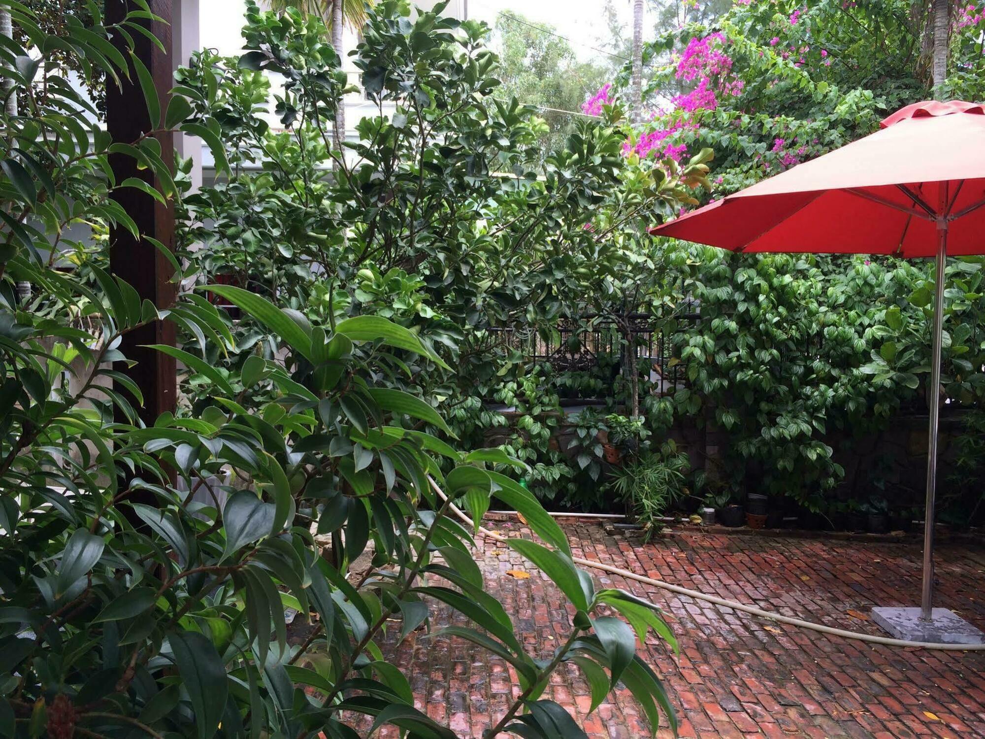 Mama'S House Hoi An Homestay Extérieur photo